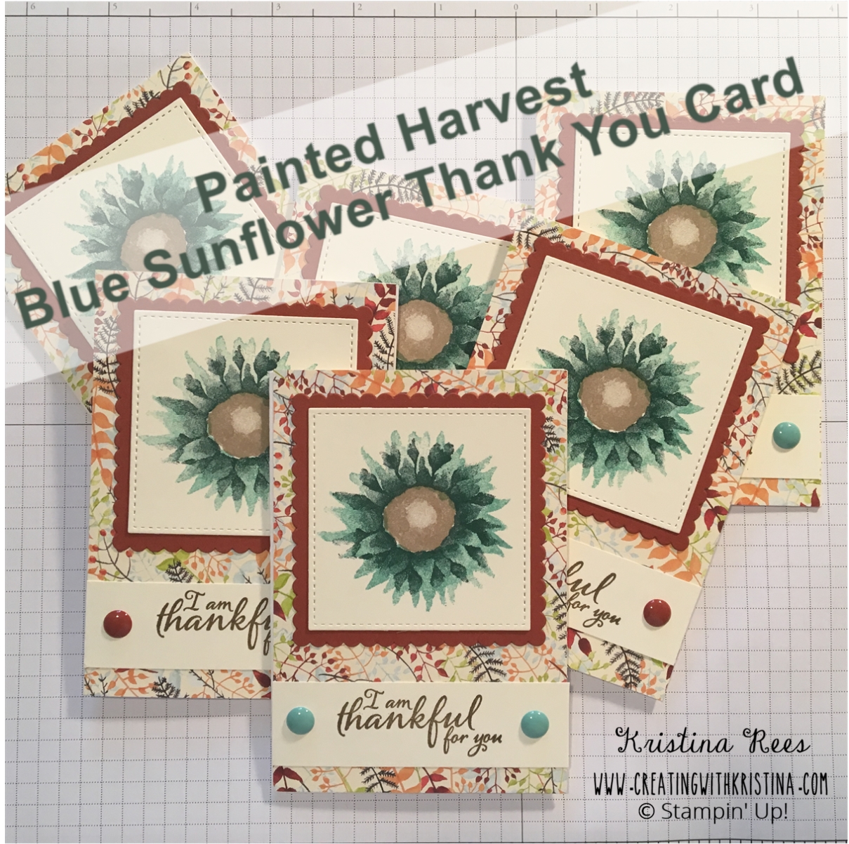 Painted Harvest Blue Sunflower