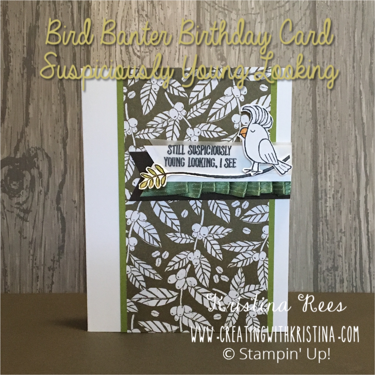 Bird Banter Stamp Set Suspiciously Young Looking www.creatingwithkristina.com
