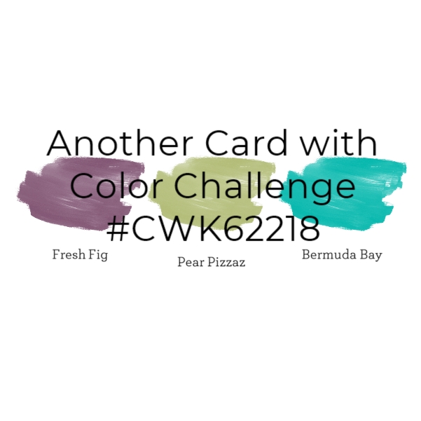 Another Card cwk62218